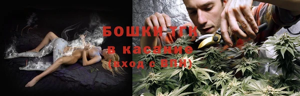 мяу мяу мука Баксан