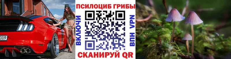 blacksprut как войти  Петушки  Псилоцибиновые грибы ЛСД 